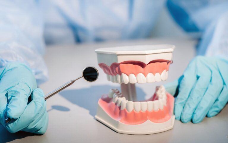 Tooth Model Shown By Dentist